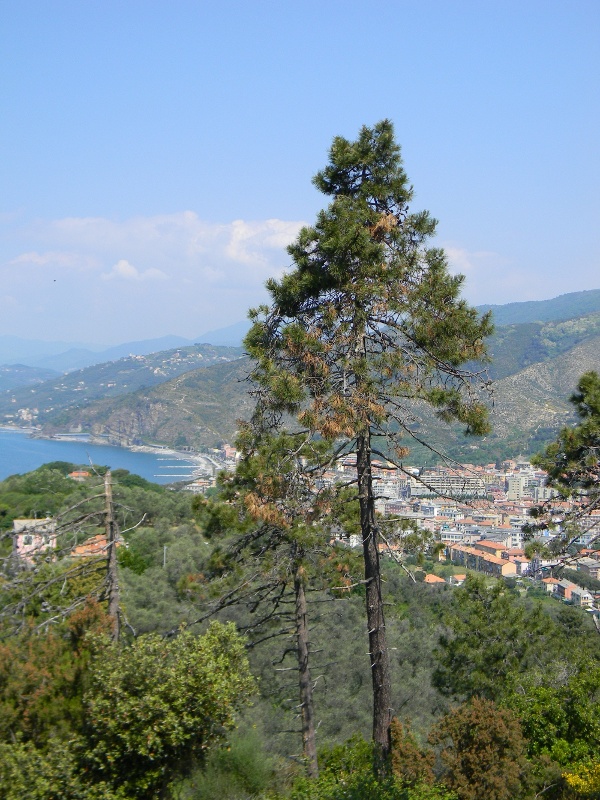 Escursione a Punta Manara (Sestri Levante)